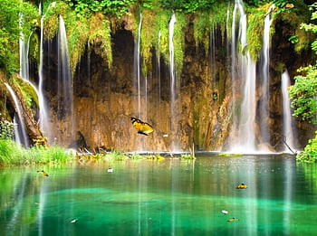 Waterfall live for pc HD wallpapers