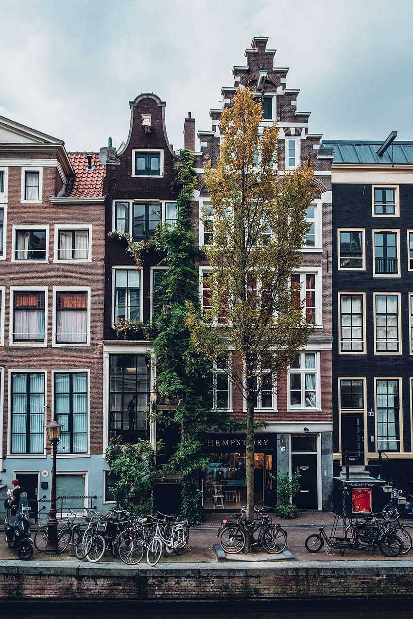 Amsterdam, Amsterdam Spring HD phone wallpaper