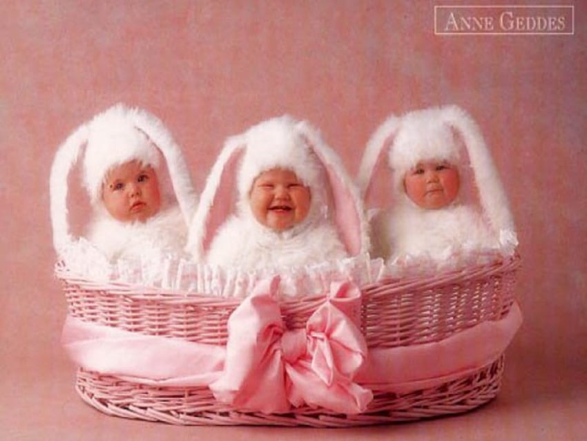 Смешни зайчета :), зайчета, бебе, смешно, дете, малко HD тапет