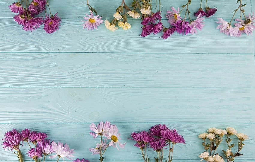 fiori, , colorato, legno, blu, flovers, goboy per , sezione цветы, Wooden Floral Sfondo HD
