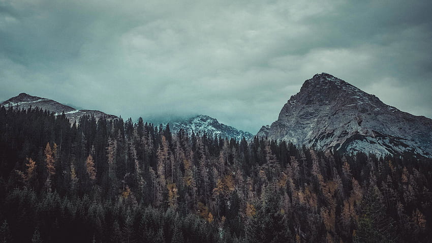 Trees And Mountains Trees , Nature , Mountains , , Wallpape. Nature , Mountain , Tree HD wallpaper