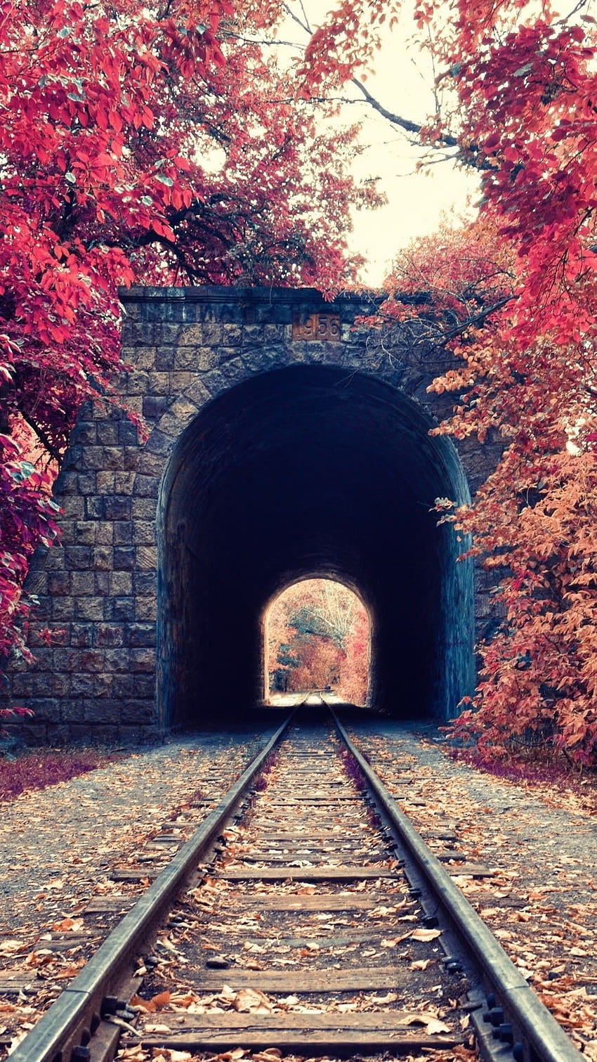 L'albero rosso del tunnel del treno d'autunno lascia l'iPhone 6 Plus Sfondo del telefono HD