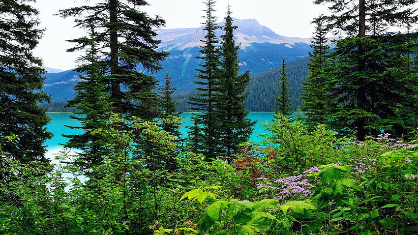 Emerald Lake, Yoho, Parco Nazionale, Columbia Britannica, cielo, Canada, montagne, paesaggio, alberi, nuvole Sfondo HD