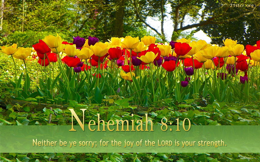 Early Spring With Bible Verses HD wallpaper