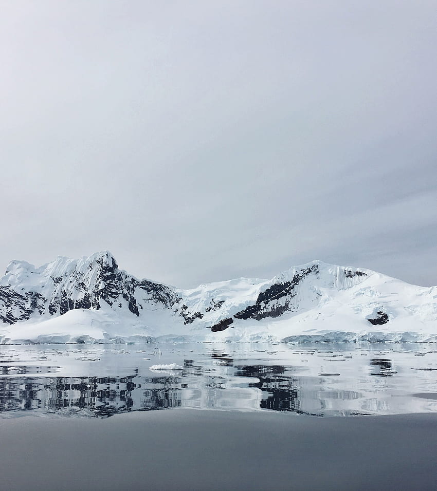ขาว, อาร์กติก, หิมะ, ธรณีสัณฐาน, ท้องฟ้า - ใช้, 1920X2160 สีน้ำเงิน วอลล์เปเปอร์โทรศัพท์ HD