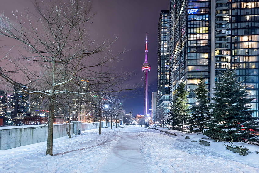 TORONTO, Toronto Winter HD wallpaper