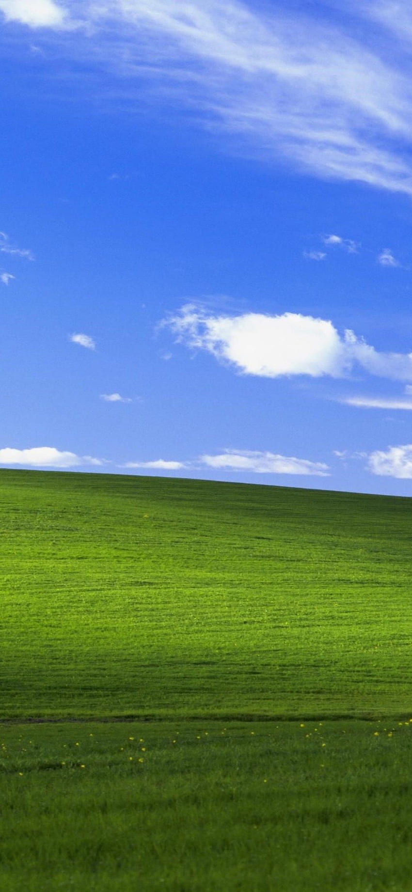 Windows XP Bliss — Windows XP Phone — Tapeta na telefon HD