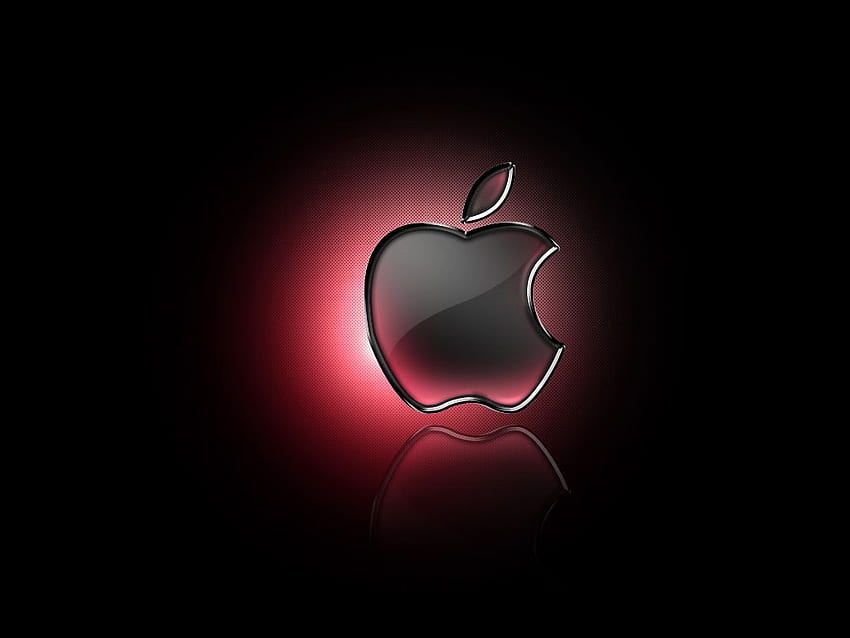 Logo Apple, meilleur logo Apple Fond d'écran HD
