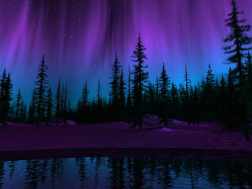 purple northern lights . Naturbilder, Nordlichter , Verblüffende natur HD wallpaper