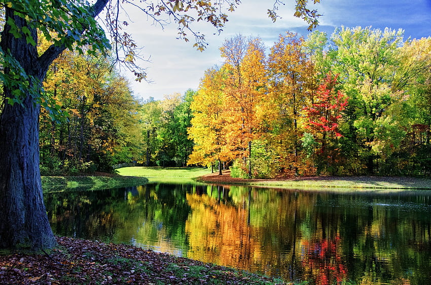 Piękna jesień w parku, odbicie, drzewa, piękne, jesienne liście, trawa, staw Tapeta HD