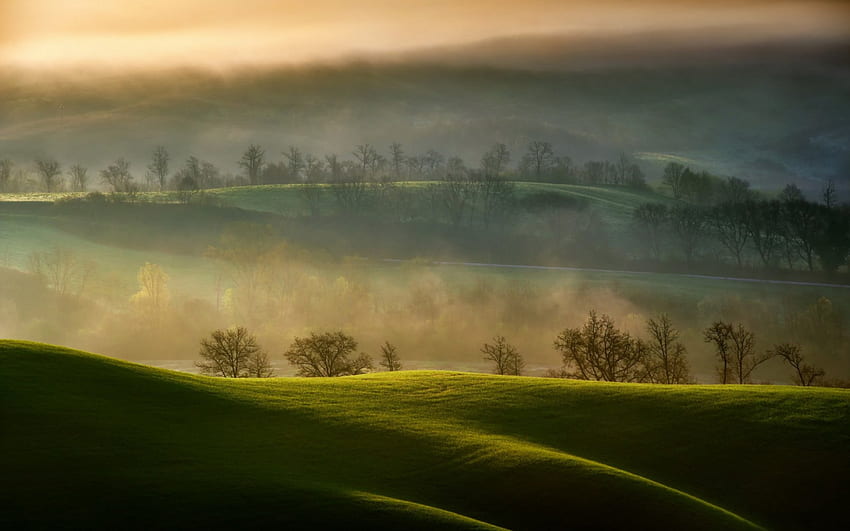 Early Morning, hills, morning, landscape, misty, mist, field, trees, nature, splendor HD wallpaper