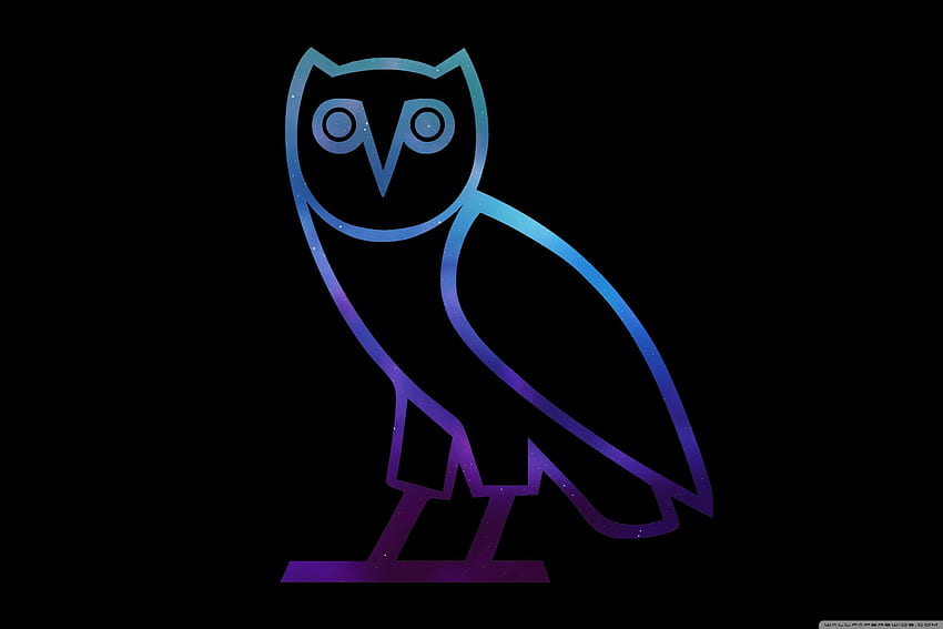 Blue Owl - . Drake iphone , Ovo , Owl HD wallpaper