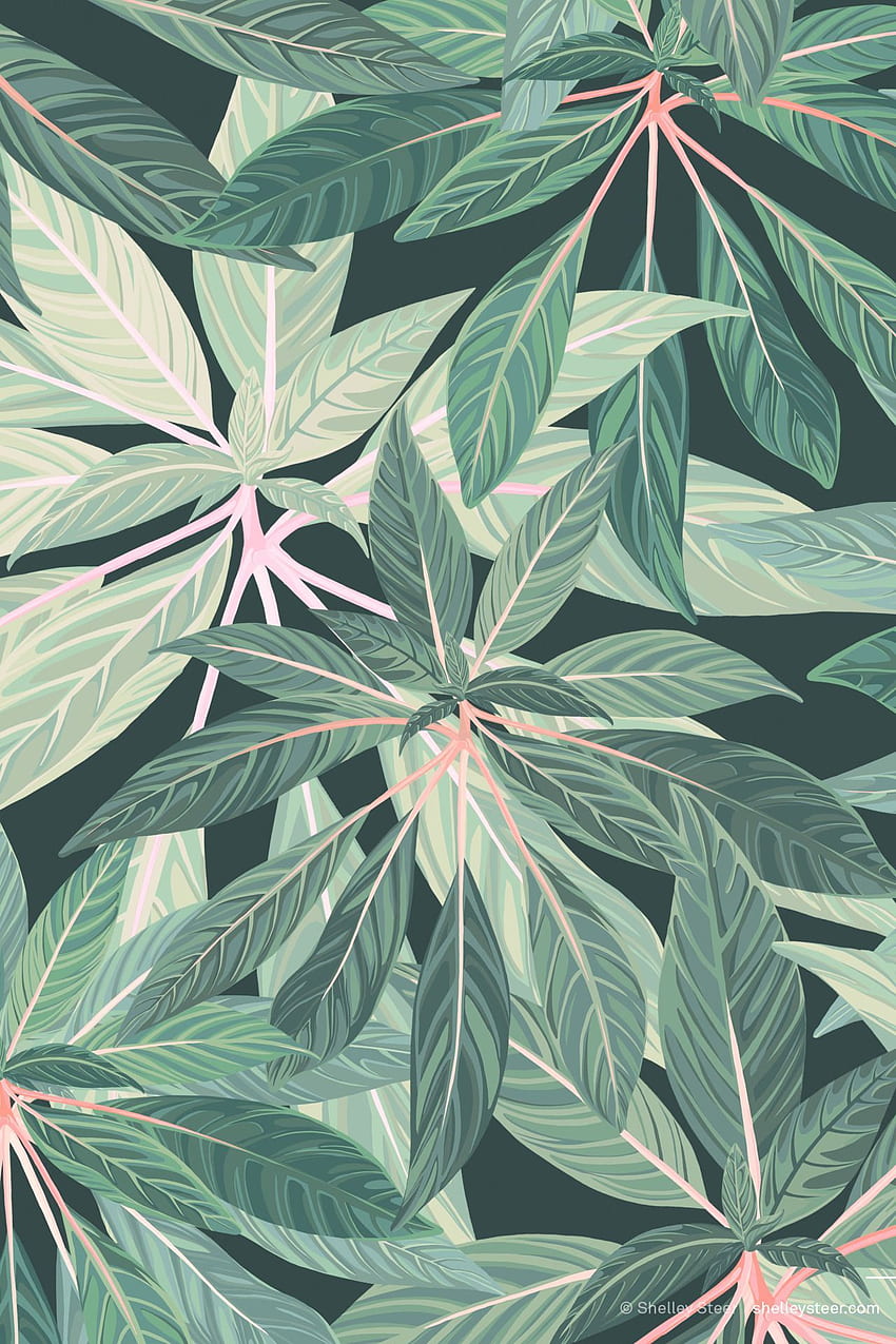 Page 2 | plant drawing HD wallpapers | Pxfuel