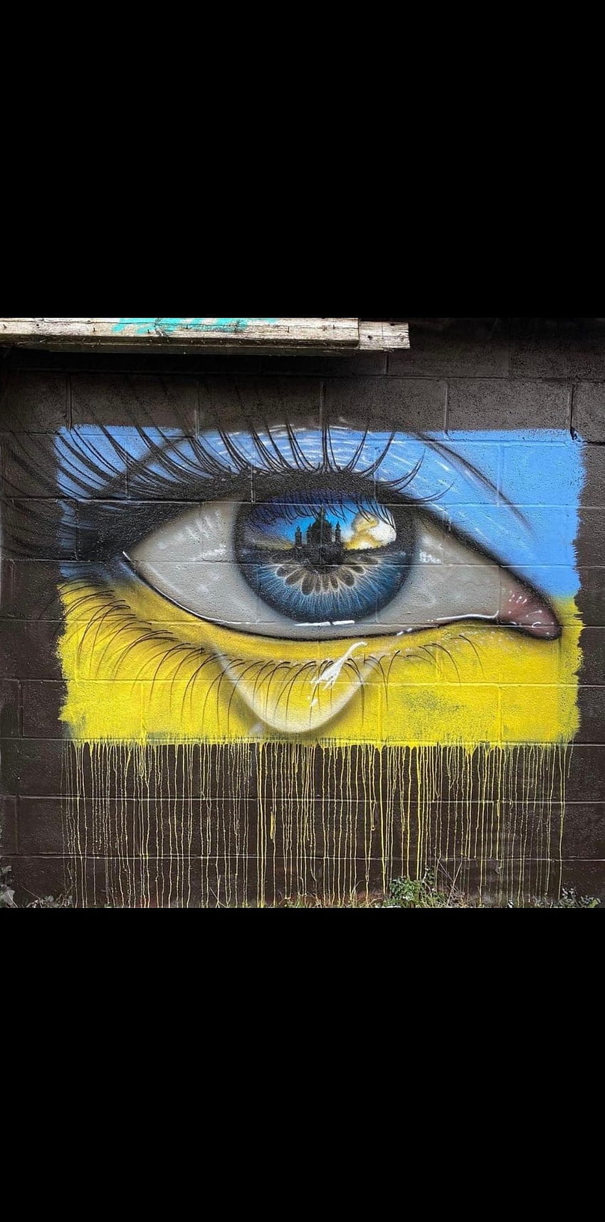 Ukraine, eye, iris HD phone wallpaper