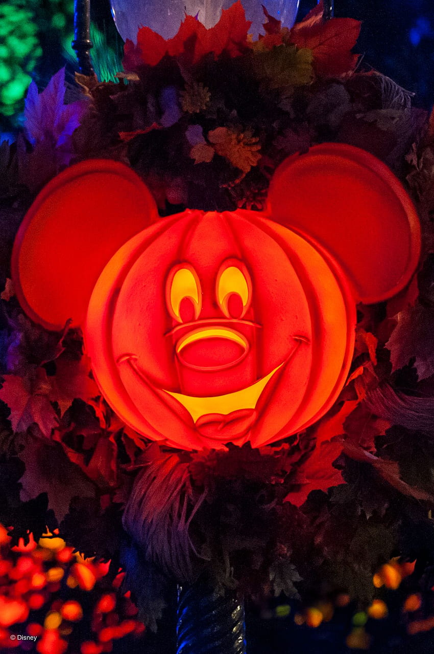 : Nouveau Halloween Pass maintenant disponible à Walt Disney World et Disneyland Resort - Disneyland News Today, Scary Disney Fond d'écran de téléphone HD