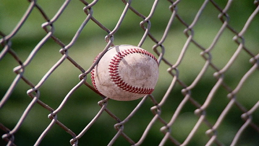 Baseball Chain Link Fence For s HD wallpaper