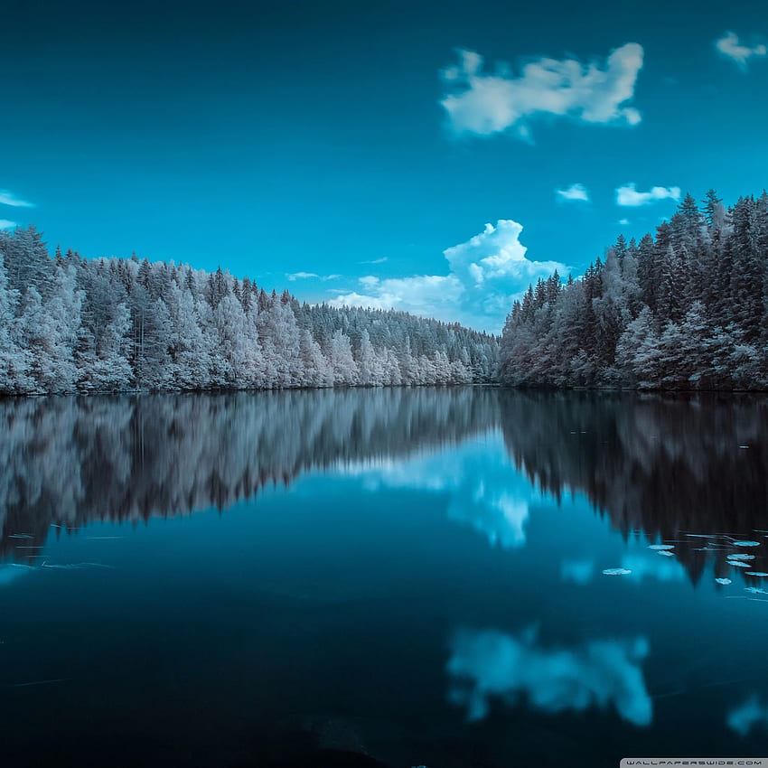Finland Forest Lake ❤ for Ultra TV HD phone wallpaper