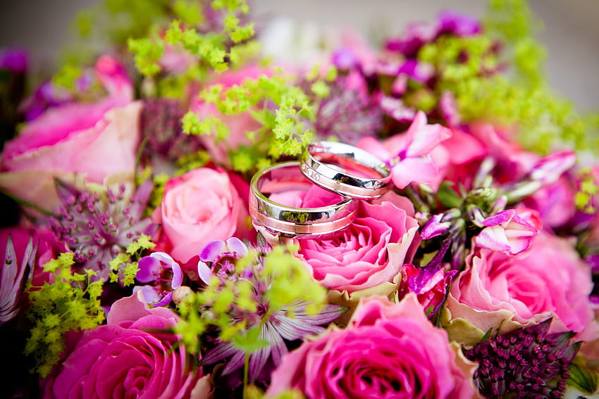 Holidays, Roses, Wedding, Rings, Bouquet HD wallpaper