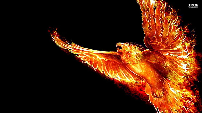 Phoenix Background. Evil Phoenix , Phoenix Bird and Phoenix Wright , Mythical Phoenix HD wallpaper