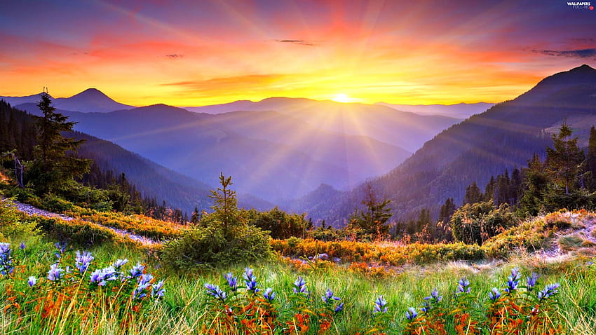 sun, rays, Spring, Mountains - Full :, 2560X1440 Spring HD wallpaper