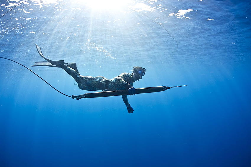 $850 Usd / For Two Divers - Spear Fishing - & Background, Spearfishing Fond d'écran HD