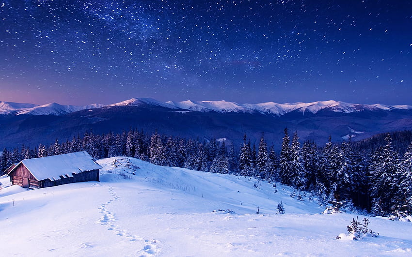 산 숲 눈 오두막 밤. 마운틴 포레스트 스노우 헛 나이트 스톡 HD 월페이퍼