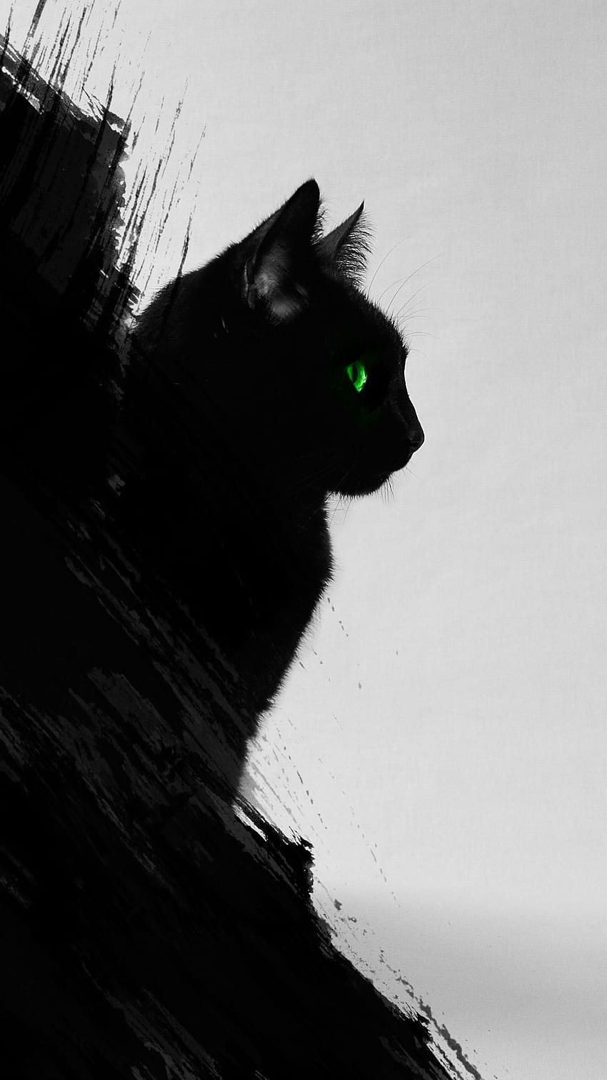 Gato Negro - Gato Negro iPhone -, Gato Negro Estético fondo de pantalla del teléfono