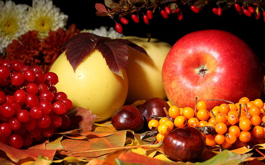 Fiori, cibo, autunno, foglie, mele, castagne, viburno, olivello spinoso Sfondo HD