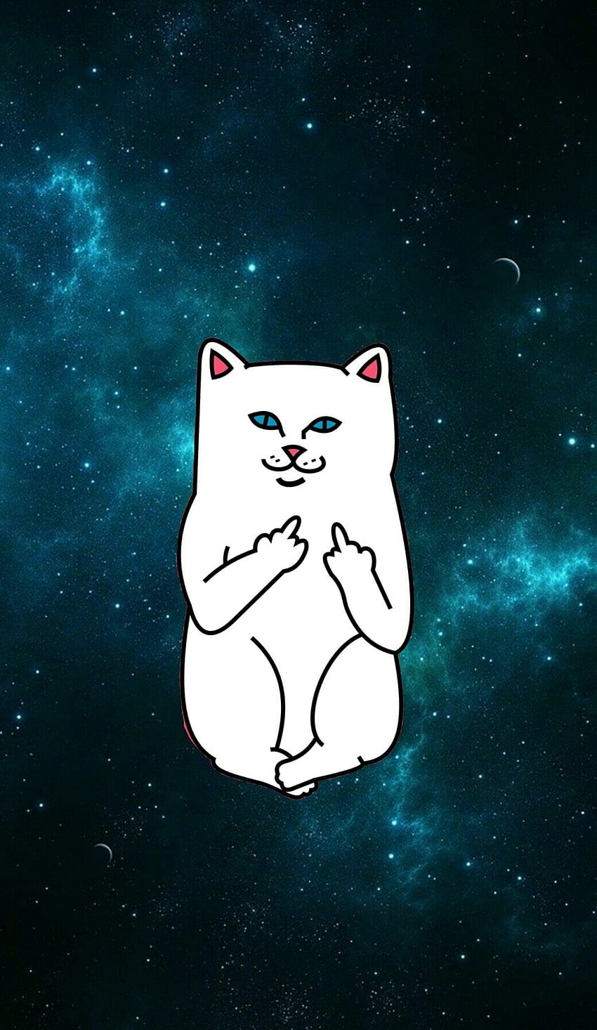 I hope this is okay as a post here is the phone wallpaper everyone was  asking for from my space cat I posted yesterday I hope the size is okay   rcats