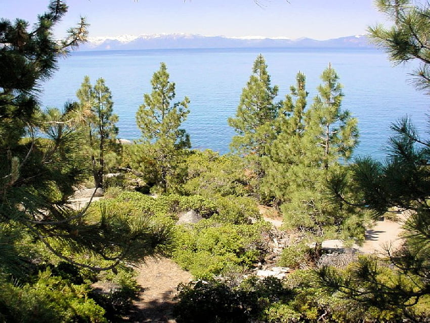 Nur ein weiterer Tag im Paradies, Natur, Nevada, Lake Tahoe, See HD-Hintergrundbild