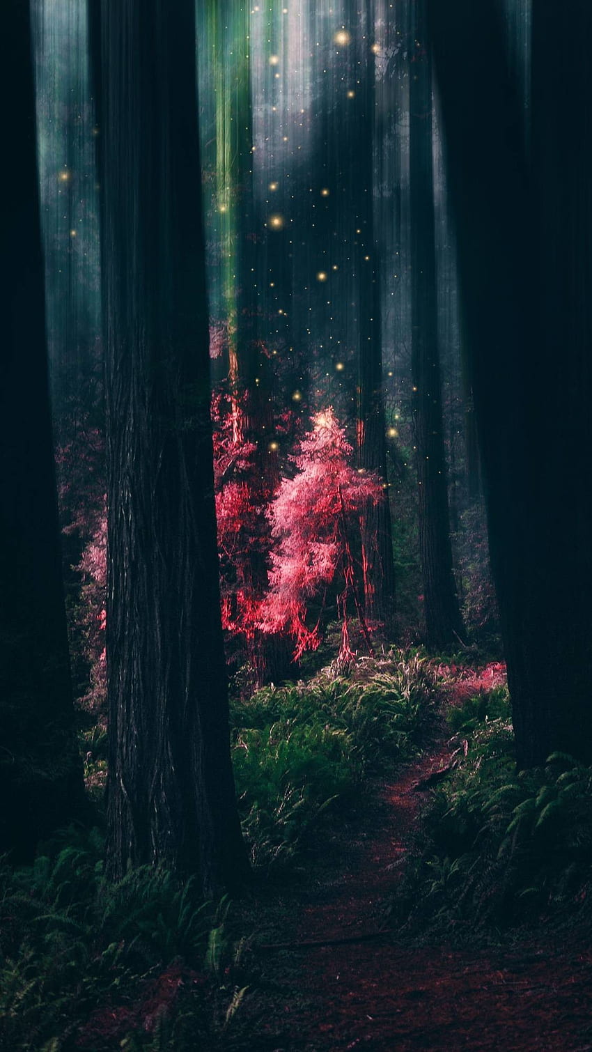 Enchanted Forest For Mobile, Enchanted Sky HD phone wallpaper