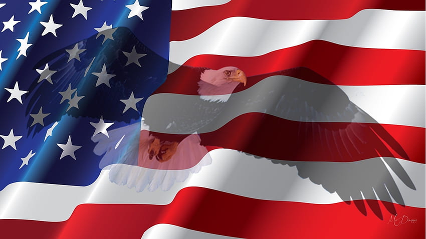 birds-memorial-day-usa-patriotism-july-dom-eagle-flag-independance-patriots- red-white-blue--- Fond d'écran HD