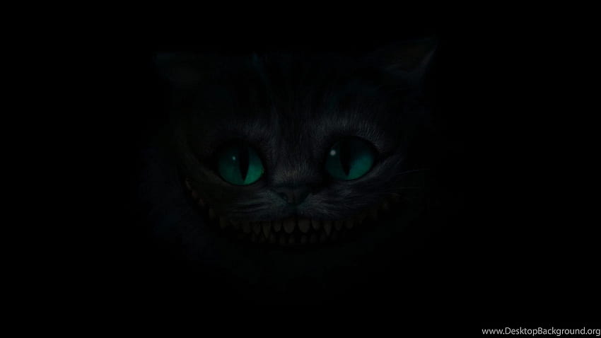 Cat Background, Creepy Cat HD wallpaper