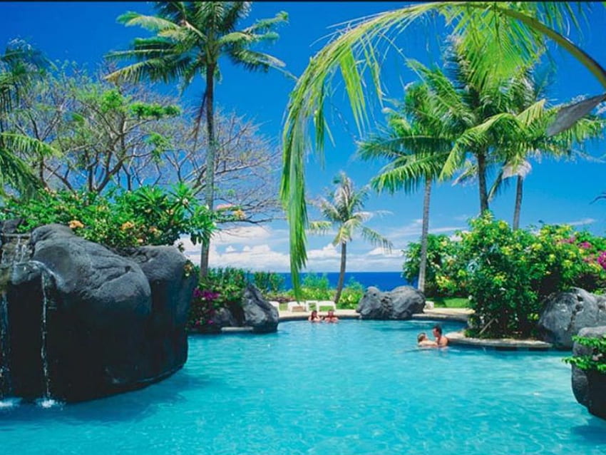 Paradise, blue, trees, beautiful, water HD wallpaper