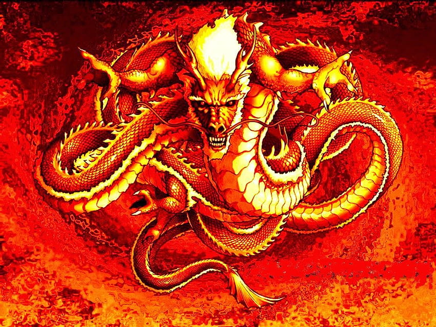 Cool Chinese Fire Dragon HD wallpaper