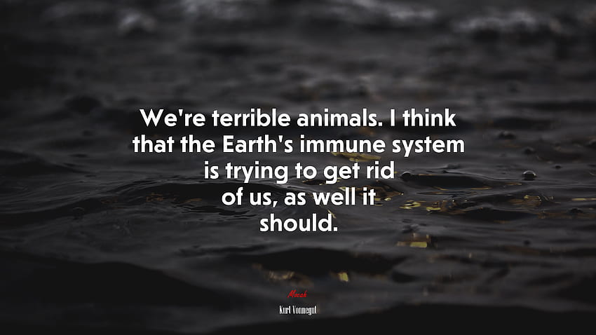 Biz korkunç hayvanlarız. Bence Dünya'nın bağışıklık sistemi bizden kurtulmaya çalışıyor, yapması da gerekiyor. Kurt Vonnegut alıntı HD duvar kağıdı