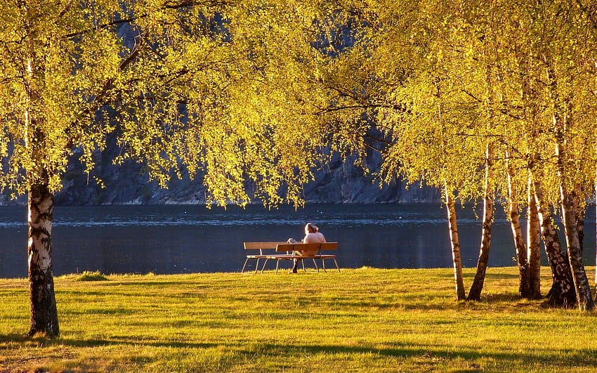 Herbststimmung, Bäume, Birken, Bänke, Gras, Park HD-Hintergrundbild