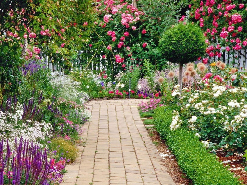 美しい庭、家庭菜園 高画質の壁紙