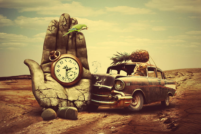 Samochód, sztuka, zegar, ręka, kot, kreatywny, surrealizm, ananas Tapeta HD