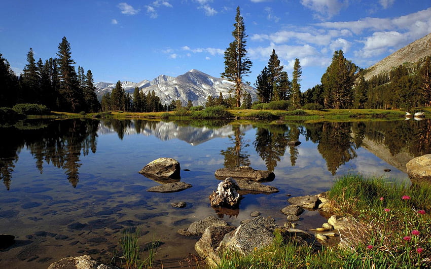 Taman Nasional Yosemite, California, sungai, lanskap, awan, pohon, langit, pantulan Wallpaper HD