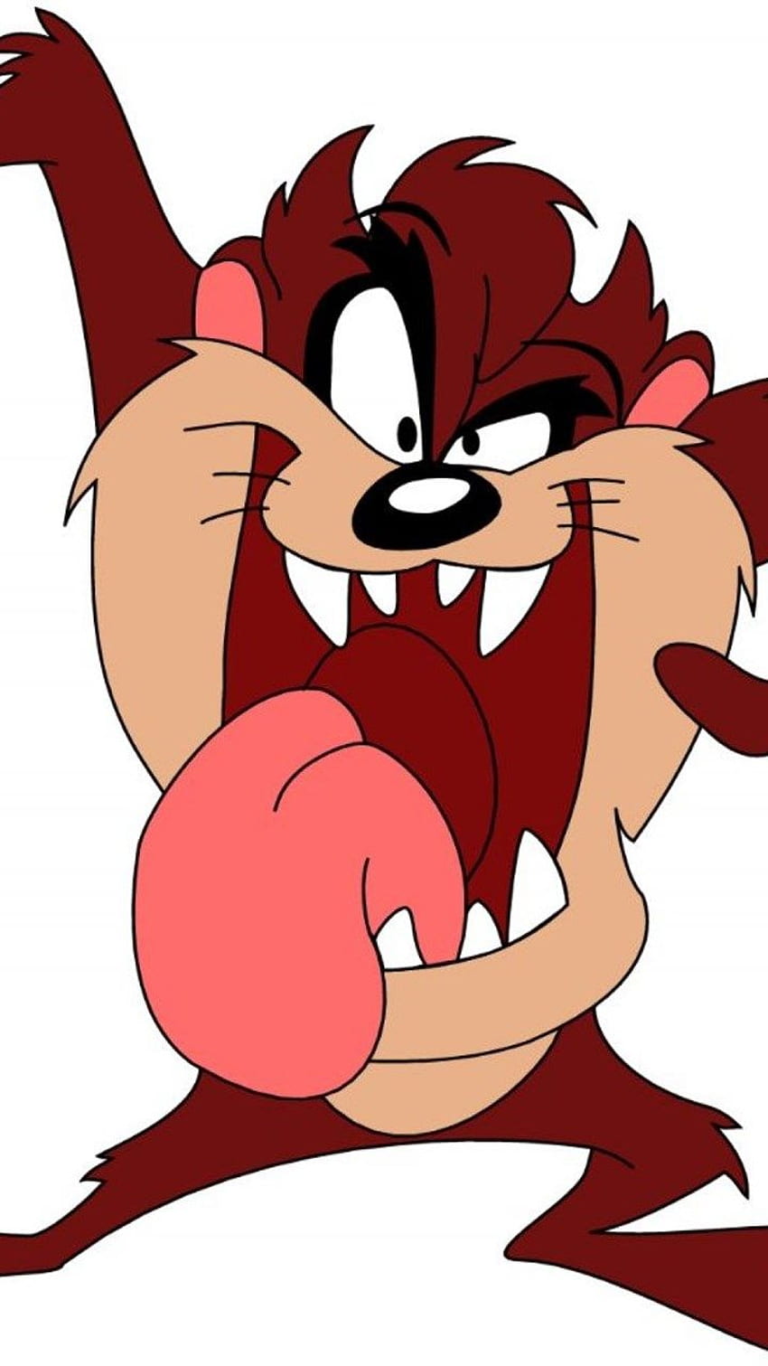 Cartoon : Looney Tunes Tasmanian Devil HD phone wallpaper | Pxfuel
