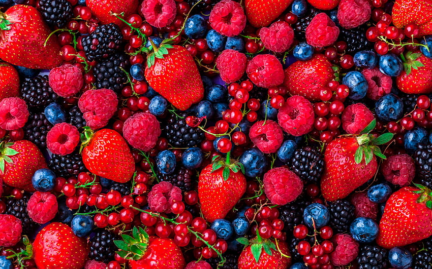 verschiedene Beeren, Hintergrund mit verschiedenen Beeren, Erdbeeren, Heidelbeeren, Himbeeren, Brombeeren HD-Hintergrundbild