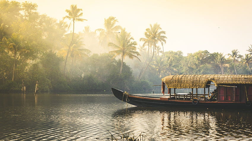 Navegando por el Kerala único, los remansos de Kerala fondo de pantalla