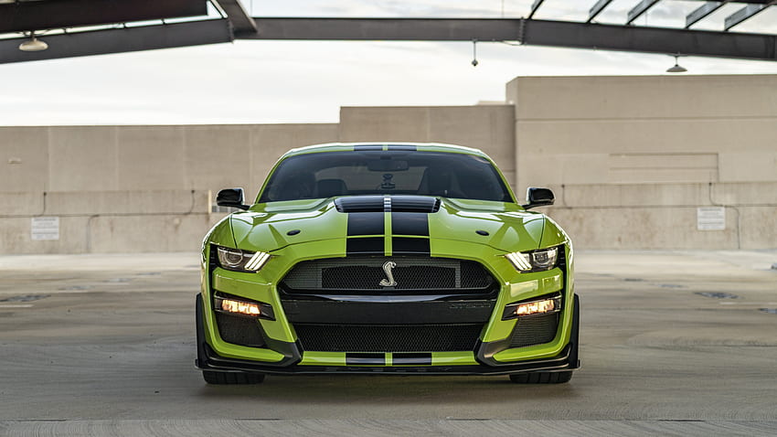 Shelby GT500, usa, muscle, mustang, ford, america Sfondo HD
