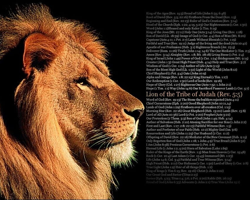 Лъвът на Юда с писание. Лъв, Племето на Юда, Лъвът на Юда, Мотивационна Библия на Лъва HD тапет