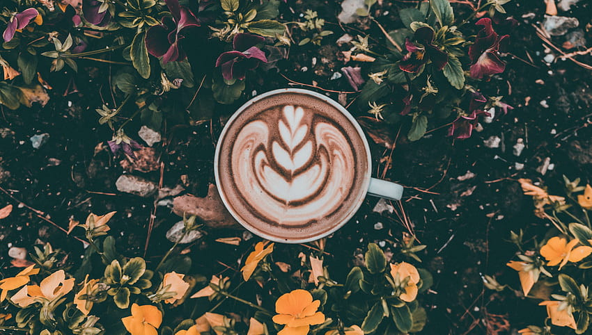 Food, Coffee, Cinnamon, Cup, Foam, Cappuccino, Meerschaum HD wallpaper