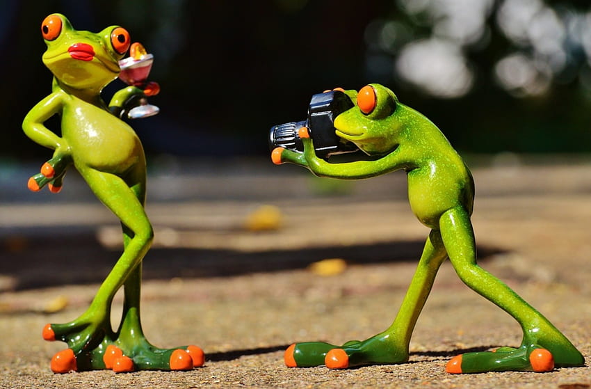 Beauty is in the eye of the beholder, frogs, camera, green, couple, figurine HD wallpaper