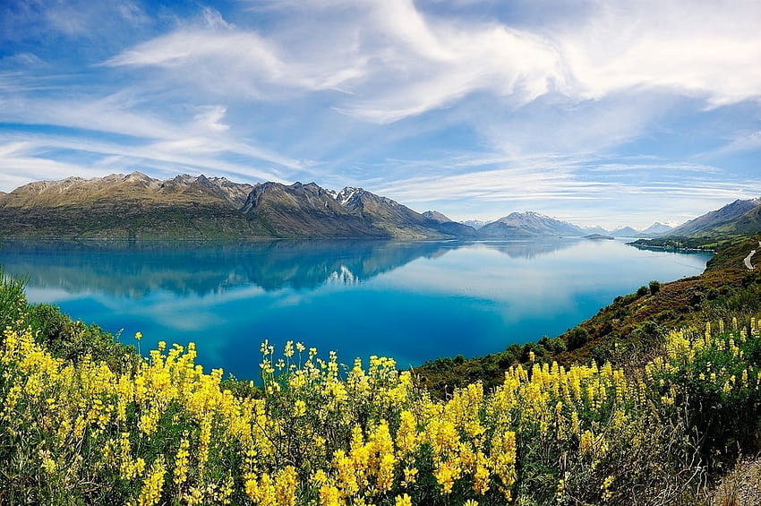 Selandia Baru, Selandia Baru, langit, bunga, danau Wallpaper HD