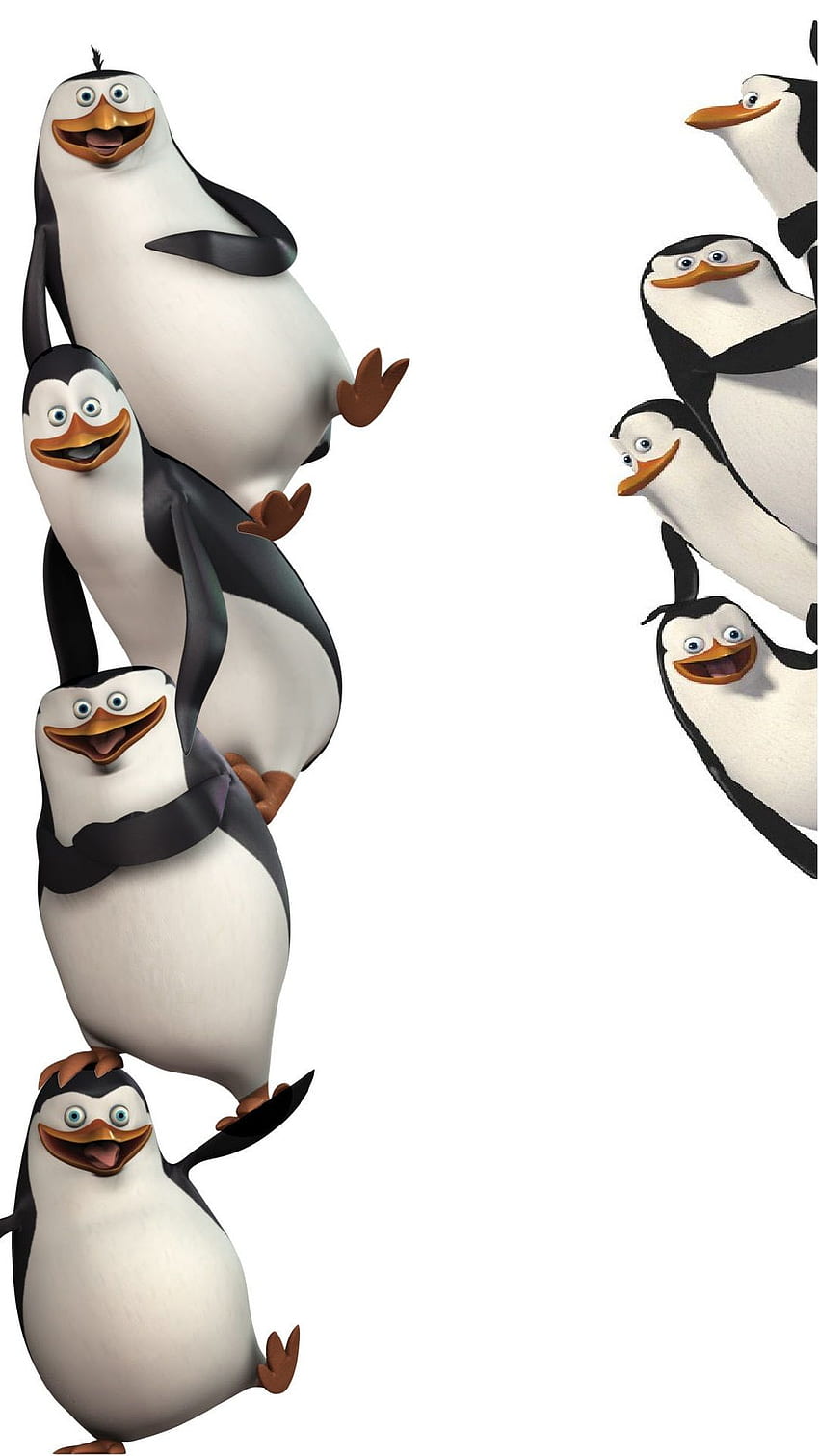 penguins of madagascar mobile, Cute Penguin HD phone wallpaper