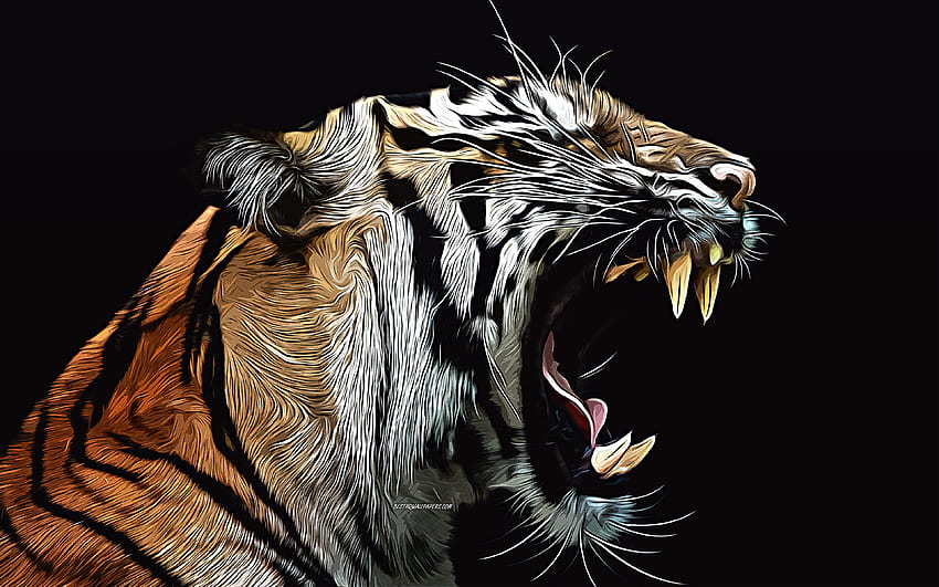 Tiger, , Vektorgrafiken, Tigerzeichnung, kreative Kunst, Tigerkunst, Vektorzeichnung, abstrakte Tiere, Wut, wilde Tiere, wütender Tiger HD-Hintergrundbild
